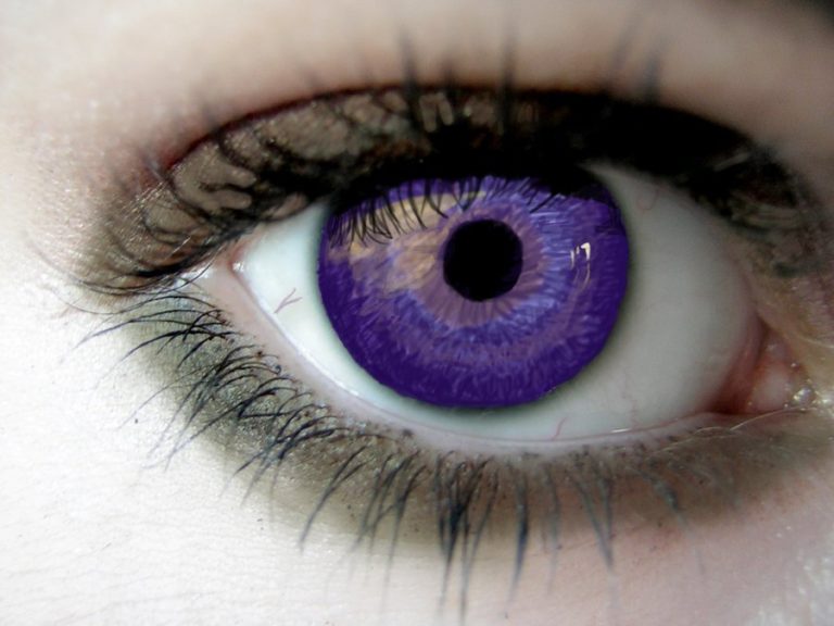 Real Violet Eyes – Fact Or Fiction?