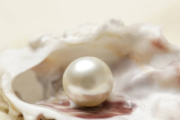 Biblical Meaning Of Pearls In Dreams