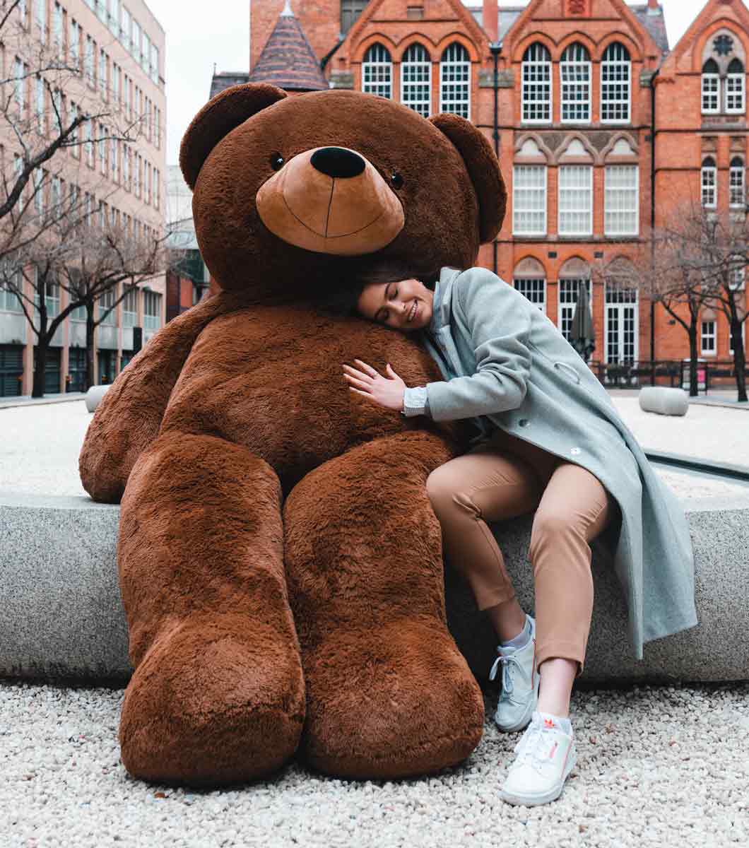 Teddy Bear