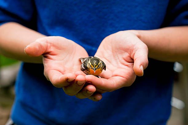 Holding a Bird in Your Hand