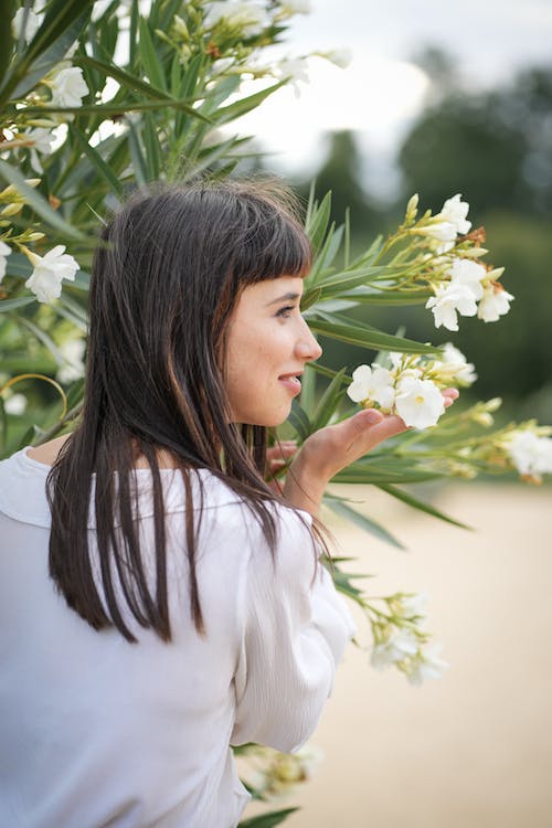 Oleander Flower Meaning